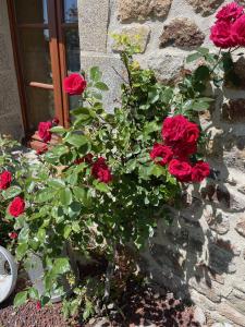 B&B / Chambres d'hotes Le Haut Pont de la Baie : photos des chambres