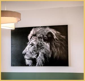 Appartements Le Jardin du Port I T3 I Sciez : photos des chambres
