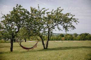 Maisons de vacances Pied a Terre : photos des chambres