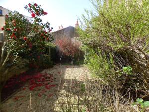 Le Bleu des Sables - Maison de ville proche Mer
