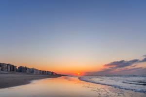 Coxy Dunes 0302 with parking - 2 bedrooms 6p - luxurious and sun-oriented