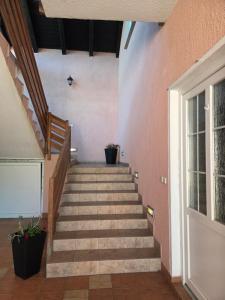 Apartman & Sobe Orhideja