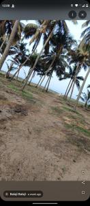 Katadi beach homestay