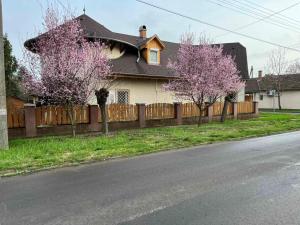 Tüskevár Panzió - Ubytování bez kategorie ve městě Abádszalók