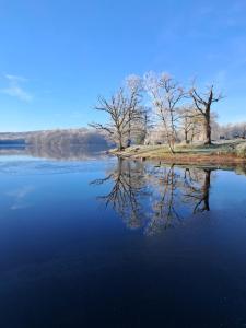 gîte la queue du merle