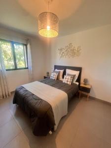 Appartements Appartement A Maghjina proche port et centre ville : photos des chambres