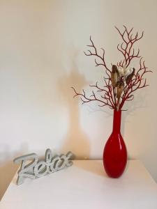 Appartements Appartement A Maghjina proche port et centre ville : photos des chambres