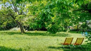 Le cedre du parc de la dame