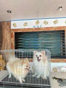 Villa RN 1 Private Hot Spring Resort - Calamba, Laguna