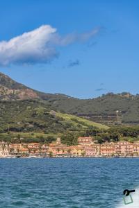 Hotiday Apartment Collection - Porto Azzurro