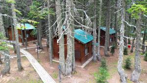 Karinna Orman Evleri