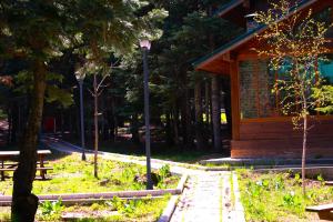 Karinna Orman Evleri