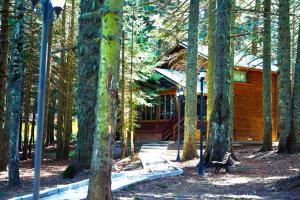 Karinna Orman Evleri