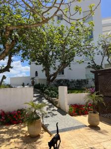 Les jardins d Assilah Asilah