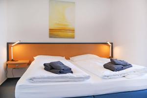 Schwarzer Bär Whg Bär 06