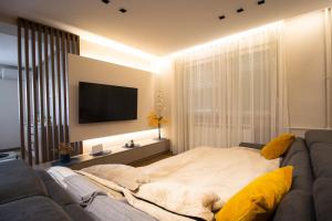 Apartment Sabac