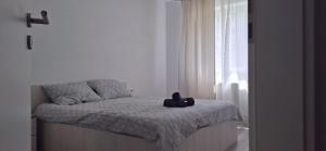 Coresi-Kasper Apartment
