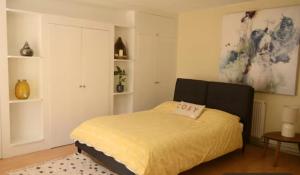 Large & comfortable room in a vintage Victorian house