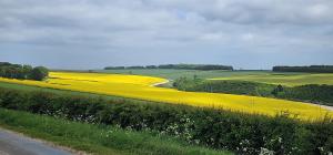 Barn on the Wolds, Yorkshire