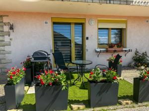 Le Myosotis, Perle du Haut Doubs