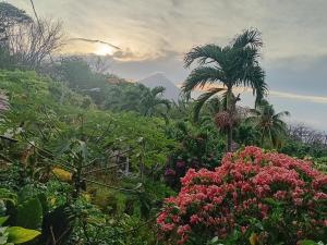 Eco lodge finca magdalena