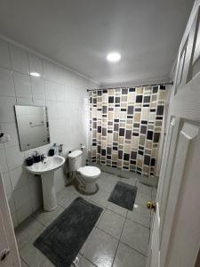 cabaña grande central en parcela 3 para 6 p