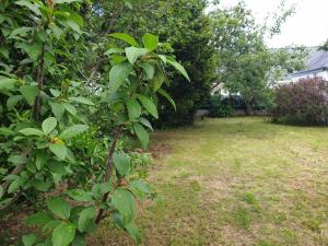 Maison 2 chambres avec jardin Proche Plage&Port
