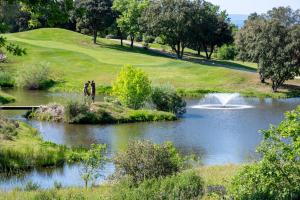 Maisons de vacances Esprit du Sud Les 4 Mousquetaires : photos des chambres