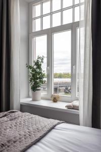 Old Town Studio Steps from Everything