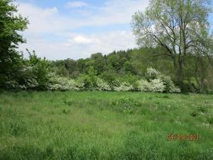 Wonderful Picturesque Countryside Cottage