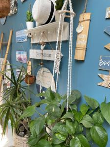 Sejours chez l'habitant Chambre d’hotes coconing : photos des chambres