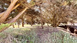 Maisons de vacances Maison Hirondelles, piscine mer et foret : photos des chambres