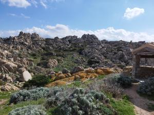 Appartamento con Terrazza