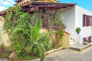 Orsa Maggiore Ottiolu img65