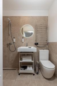 Comfortable Studio in Historic Center