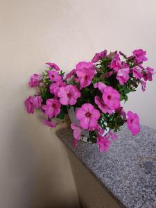 Rena MajoreHome, with parking img14