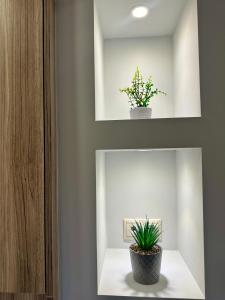 Iris Luxury House