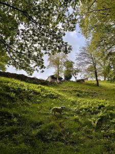 Cabaña Pasiega Lo Macario