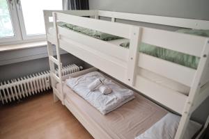 Spacious Flat by the Rhine Ideal for Groups