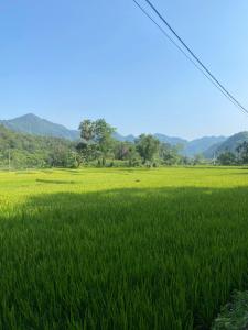 Hà Giang Lake View House