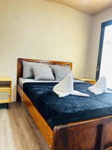 Coral Stay Bahia Drake