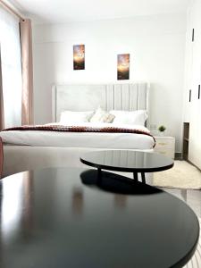 Zen Studio for your Rest and Unwind