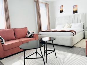 Zen Studio for your Rest and Unwind