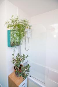 Mid-Century Gem Steps from the Beach