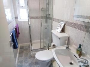 Holly Cottage Newcastle Emlyn