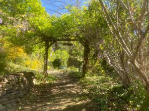 L Artisanerie - Maison typique en pleine nature