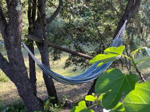 Sejours chez l'habitant Aux romarins : photos des chambres