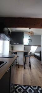 Appartements Alpine Stay Studio mansarde Chorrier Berriat Clinique Mutualiste : photos des chambres