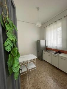 casa felicita