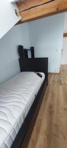 Appartements Alpine Stay Studio mansarde Chorrier Berriat Clinique Mutualiste : photos des chambres